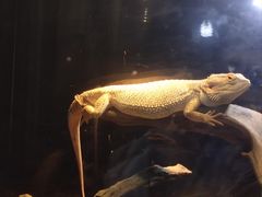 -昆明动物园