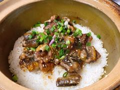 -红星光发煲仔饭(大石街店)