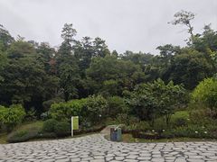 -云溪植物园
