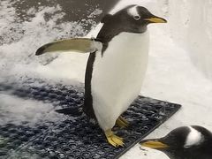 -大连圣亚海洋世界