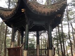 -四明山国家森林公园