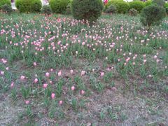 -长春公园(普阳街道)