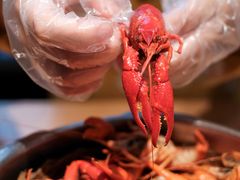 -蚝翅·海鲜粥·烧烤·宁夏滩羊季(玉米楼店)