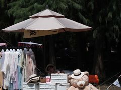 -同里国家湿地公园