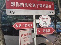 -阿巧茶庄