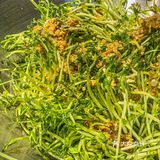 深圳新店‼️ 水贝商圈的美味湘菜