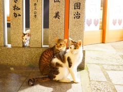 -Hōzen-ji Temple法善寺