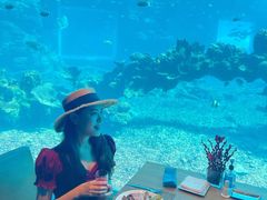 -涛·海底餐厅·美人鱼·自助餐·海底隧道(三亚海棠湾洲际度假酒店)