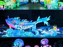 -海合安成都极地海洋公园