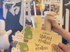 -猫的魔法密林(衣裳街店)