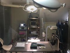 -申普宠物医院·心脏介入·心血管微创(总院)