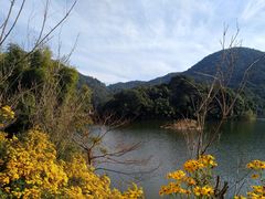 -广州市石门国家森林公园