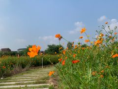-大旗头古村