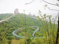 -铜川市金锁关石林