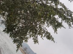 -黄龙溪古镇