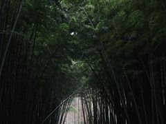 -同里国家湿地公园
