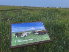 -敕勒川草原文化旅游区