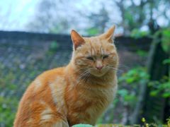 -终南山南五台景区