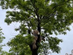 -白鹿原·白鹿仓