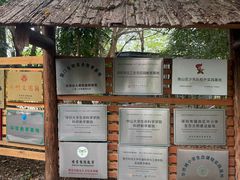 -华侨城湿地公园