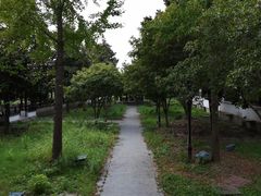 景点-安方塔