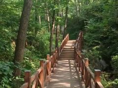 -大岭沟猕猴桃谷风景区