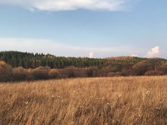 -塞罕坝国家级自然保护区