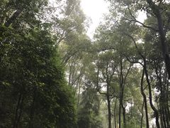 -重庆抗战遗址博物馆
