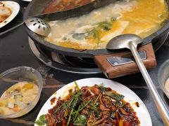 -秦巴石锅鱼(文化南路店)