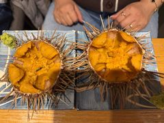 -桂马·日本料理·海胆·海鲜饭·酒场(民主广场店)