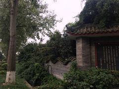 -三圣花乡旅游区