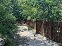 -阳台山自然风景区