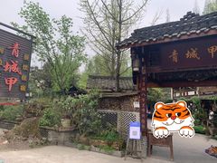 -青城甲(青城山店)