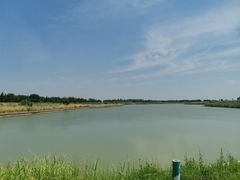 -盐城丹顶鹤湿地生态旅游区