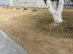 -苏州图书馆(人民路总馆)