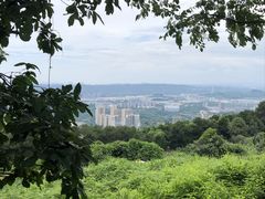 -铁山坪森林公园