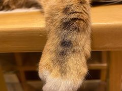 -猫的天空之城概念书店(杭州南宋御街店)