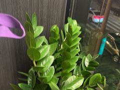 -湘轩·土菜研究院(光大店)