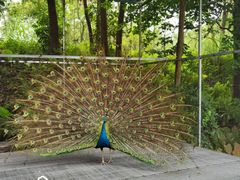 -福建鲤鱼洲酒店