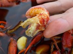 -龙虾风暴(松江店)