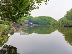 -张鸟园农家乐(张鸟园店)