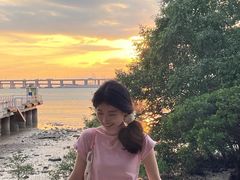 -宝安西湾红树林湿地公园