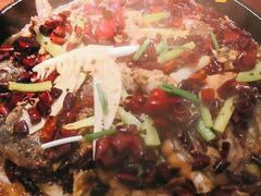 -老板恋上鱼(荣盛广场店)