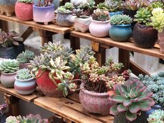 -旧屋咖啡(海景店)