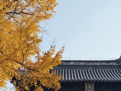 -狼山风景名胜区