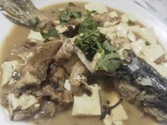 -煲来饱去冷水鱼