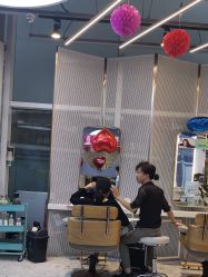 -PE SALON 