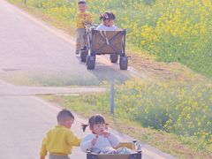 -光明小镇欢乐田园