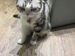 -小时光咖啡馆(开森度假森林店)