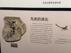 -四川大学博物馆